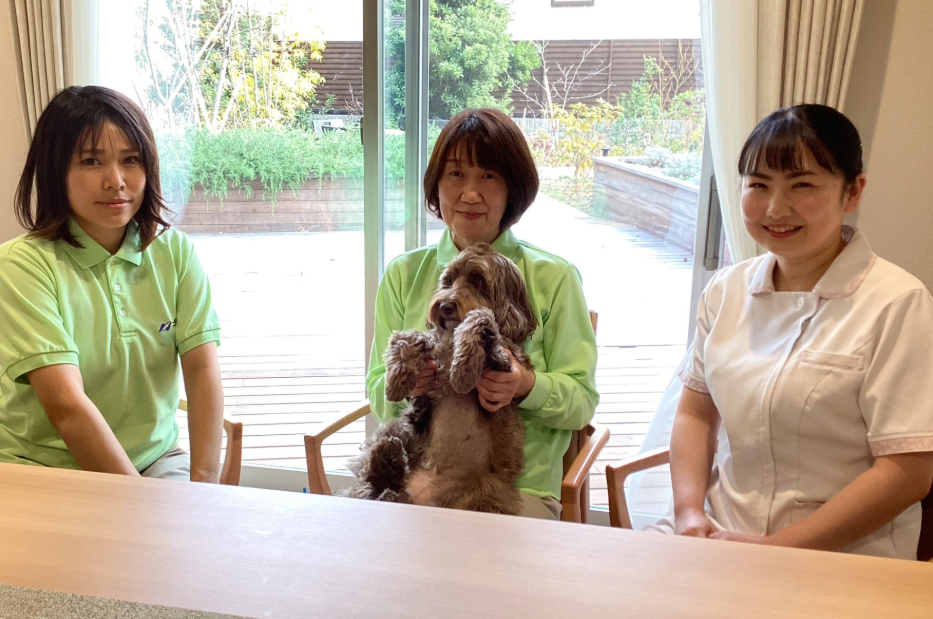 老人ホームに勤務する介護士と看護士、セラピー犬の様子